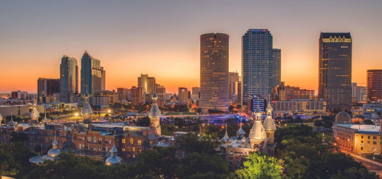 Tampa Bay Area